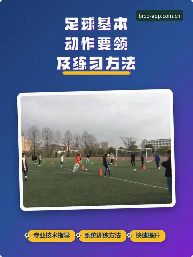 新手必看！5个关键角度解答BEPLAY足球安全吗，让你放心体验必博平台
